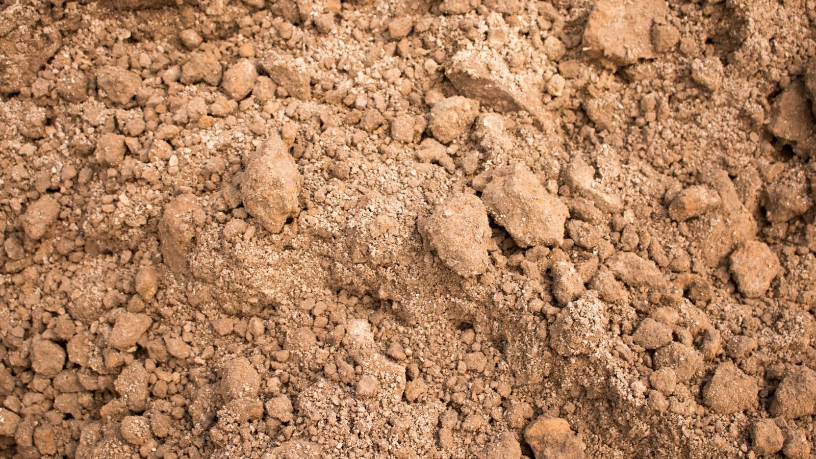 A focused image of light brown sandy soil in big and small clumps.