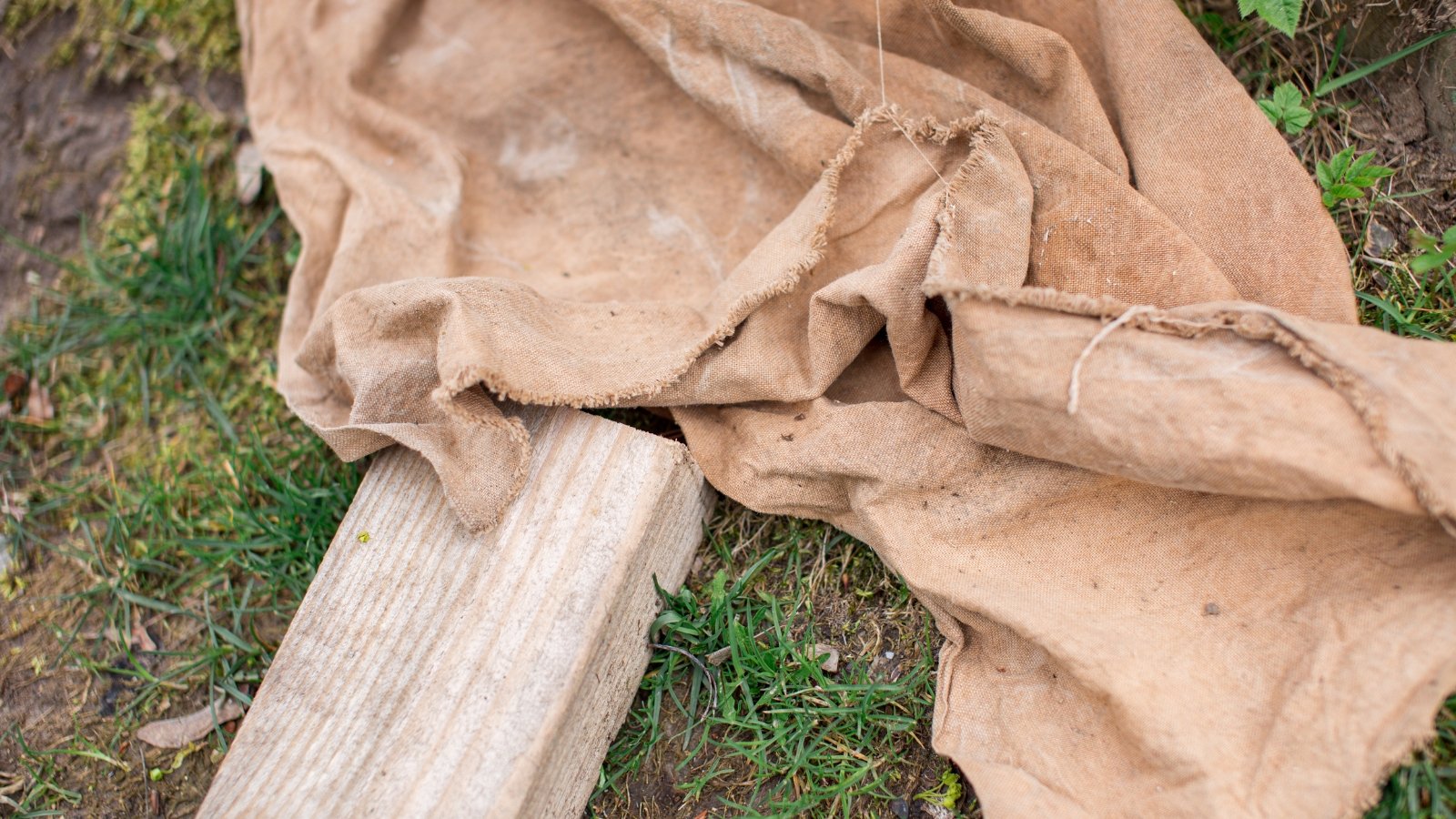 Close-up of a piece of burlap resting beside a wooden stake on the green grass in a garden.
