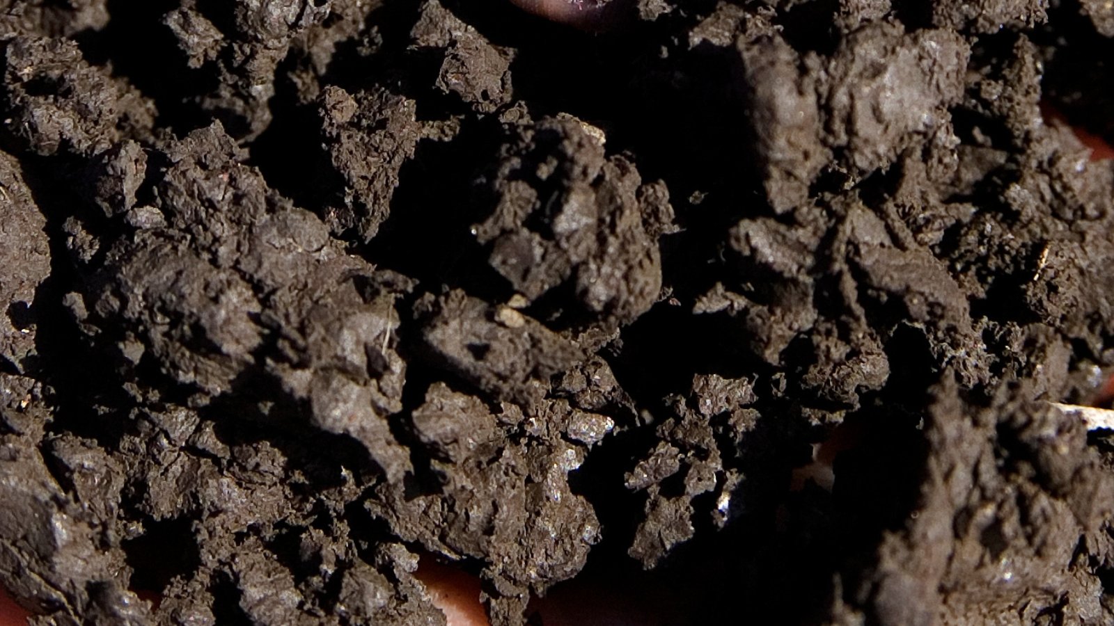 A close-up of dark fertile soil reveals its rich texture, teeming with life. Moisture glistens on the clumped earth, promising nourishment for burgeoning plants and a thriving ecosystem beneath the surface.