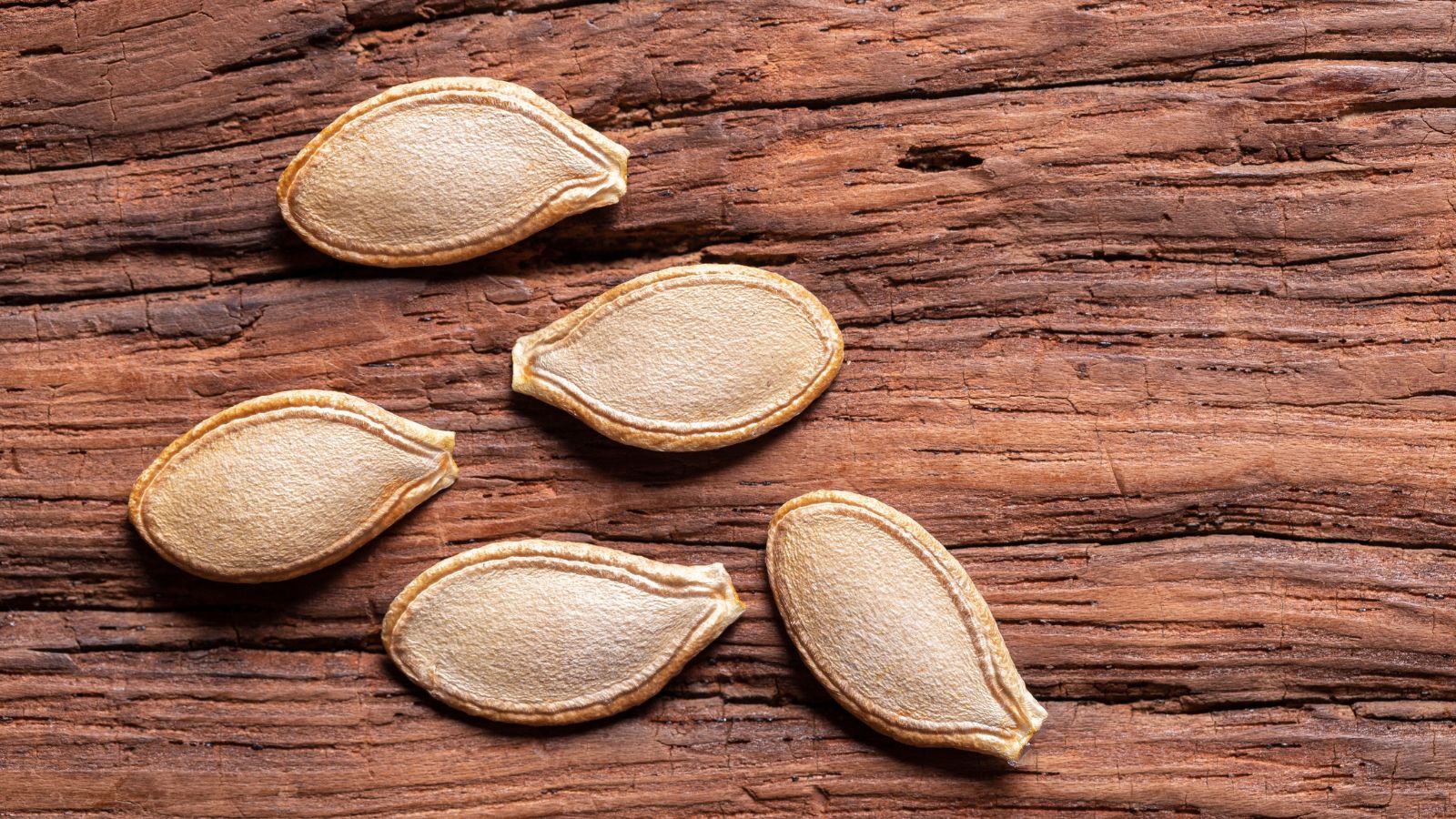 Five pieces of whitish seeds appearing to0 have a warm orange tone placed on a dark wooden surface placed somewhere with light