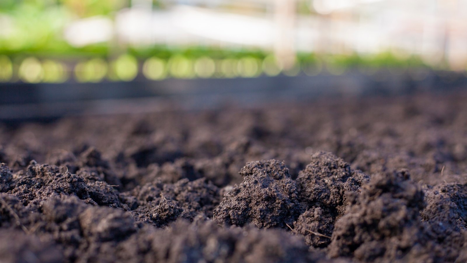 A patch of rich, dark brown soil glistens with moisture, freshly watered and prepared for planting. The soil looks well-tilled and full of nutrients, waiting for seeds or plants to take root.