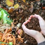 How Scorching Ought to My Compost Pile Be?