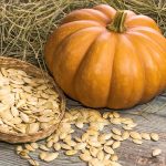 The proper technique to Save Pumpkin Seeds for Subsequent Yr: 7 Expert-Options