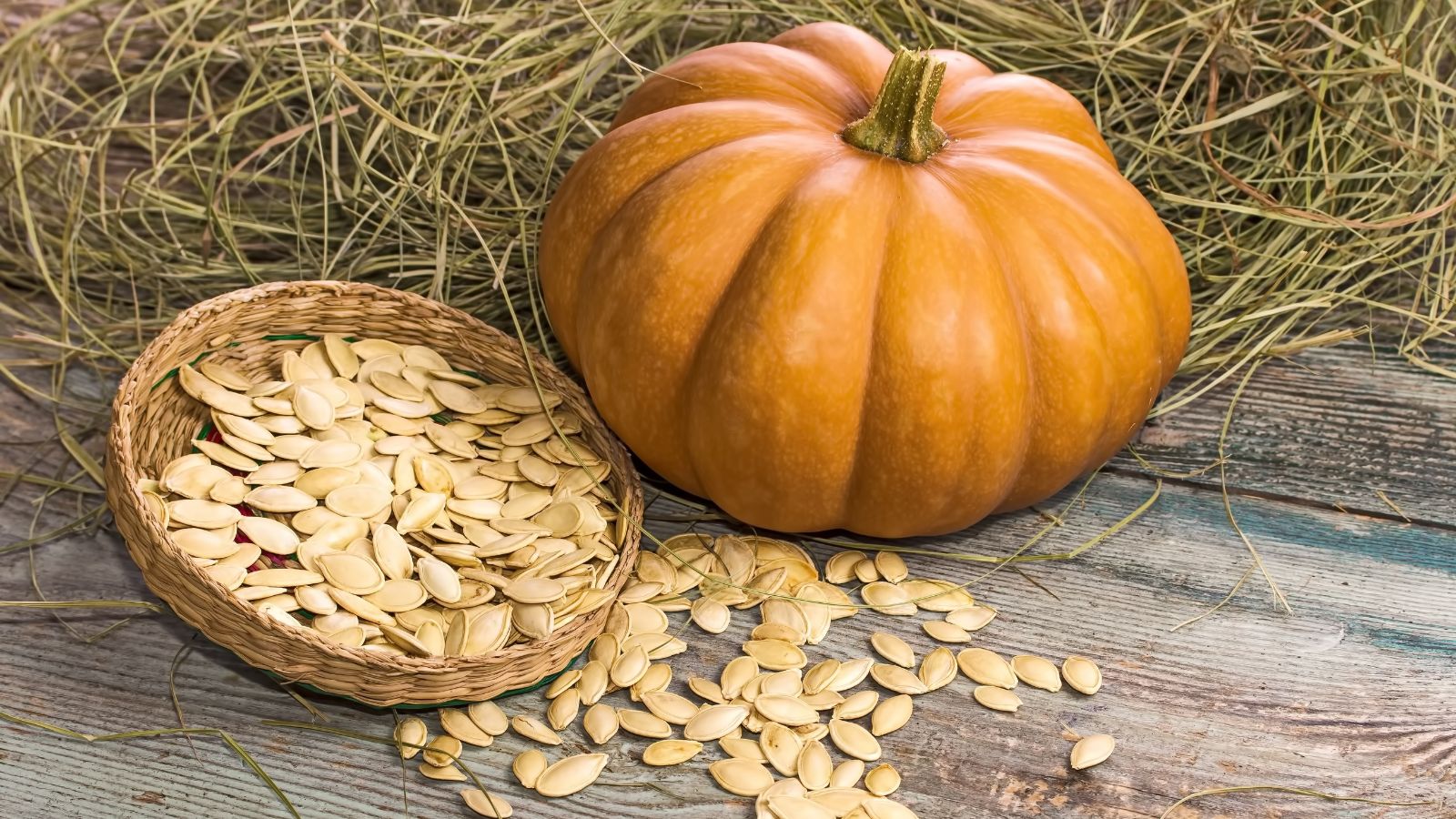 The proper technique to Save Pumpkin Seeds for Subsequent Yr: 7 Expert-Options