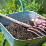 9 Easy Methods to Enhance Your Soil