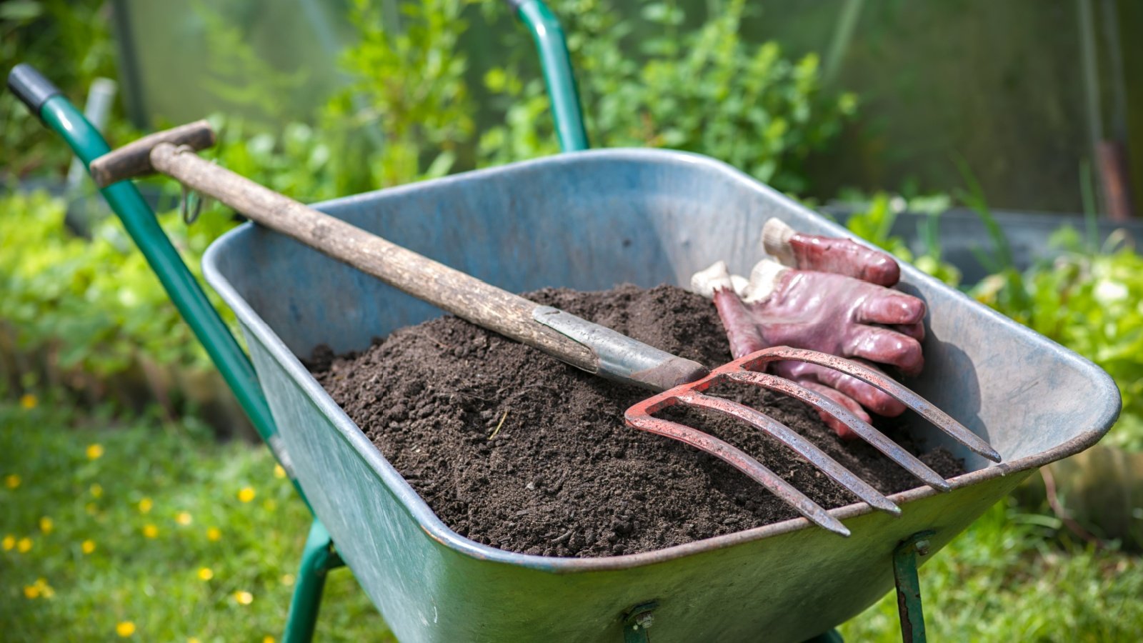 9 Easy Methods to Enhance Your Soil