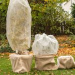 9 Intelligent Methods to Insulate Your Potted Crops in Chilly Native climate