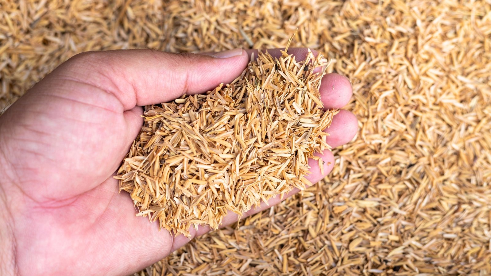 How and Why to Use Rice Hulls contained in the Yard