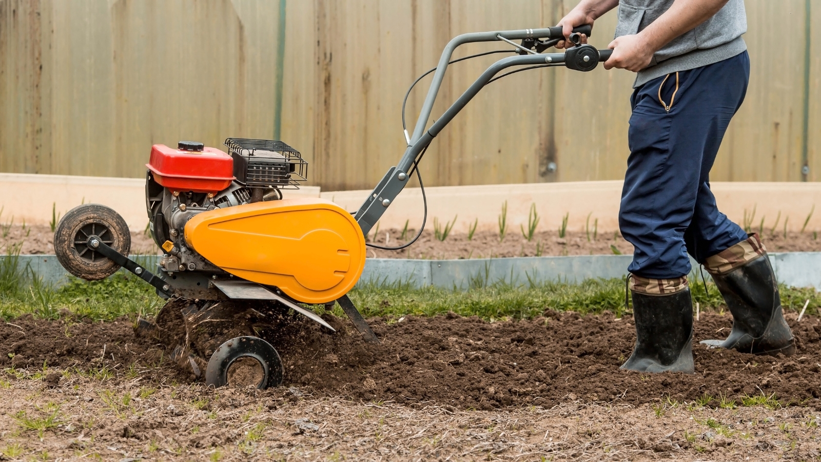 A male farmer plowing a field with a motorized cultivator. The dark, rich soil is being tilled as the machine moves across the land, preparing the ground for planting.