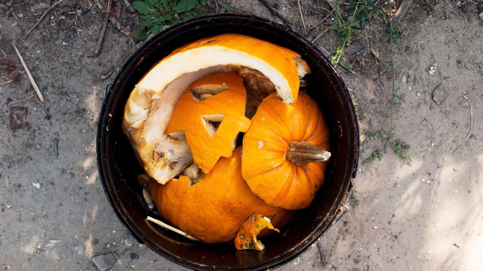 The suitable choice to Compost Your Halloween Pumpkins