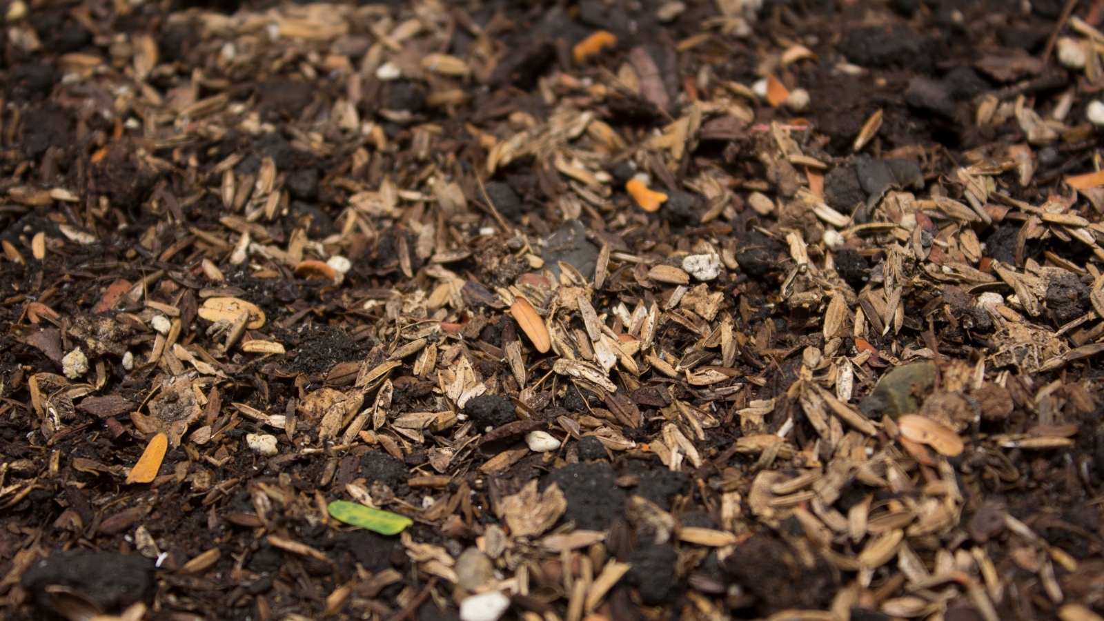 A balanced mixture of soil shows rough, beige flakes visible against the rich brown earth, enhancing aeration.
