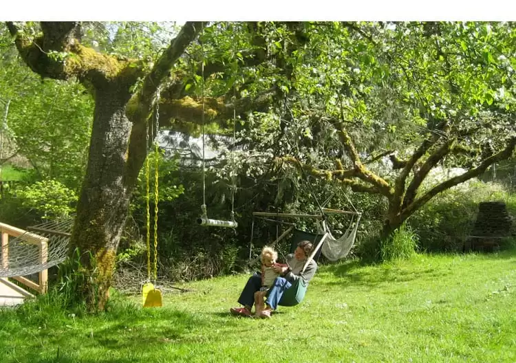 Fruit Trees provide shade