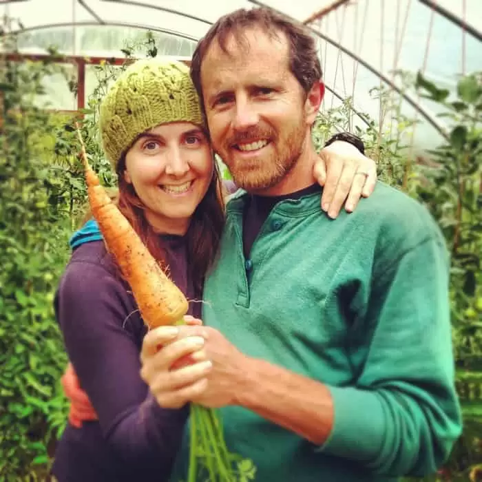 fresh carrot