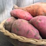 Develop, Harvest, Remedy, and Retailer Sweet Potatoes