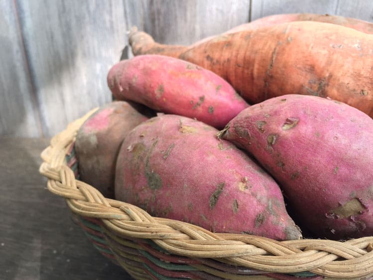 Develop, Harvest, Remedy, and Retailer Sweet Potatoes