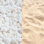 Perlite Vs. Sand: The Biggest Technique to Improve Soil Drainage