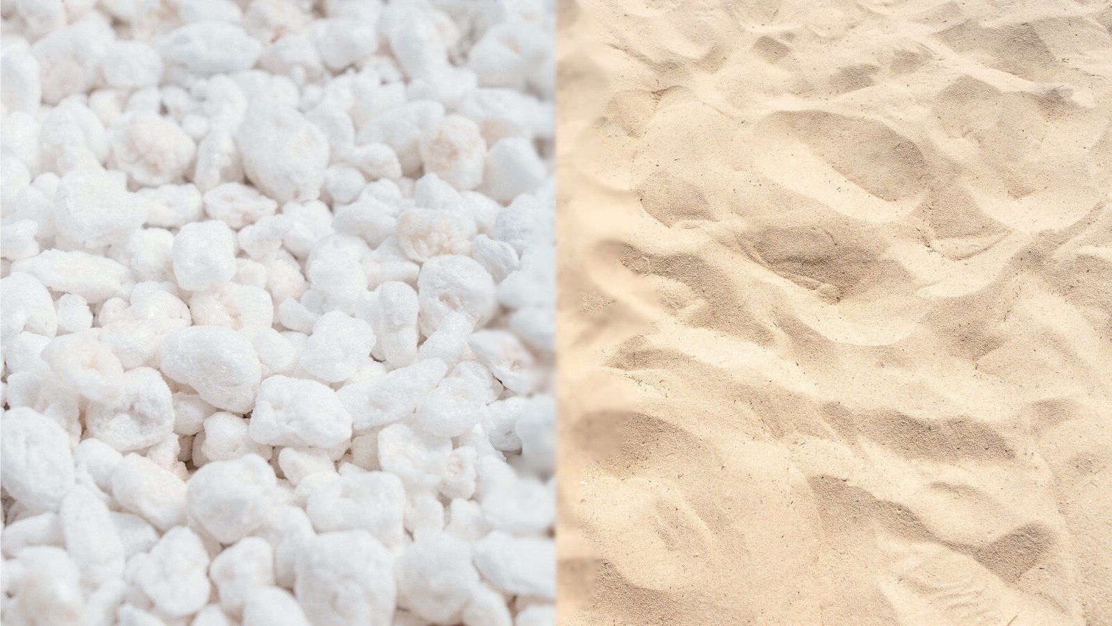 Perlite Vs. Sand: The Biggest Technique to Improve Soil Drainage